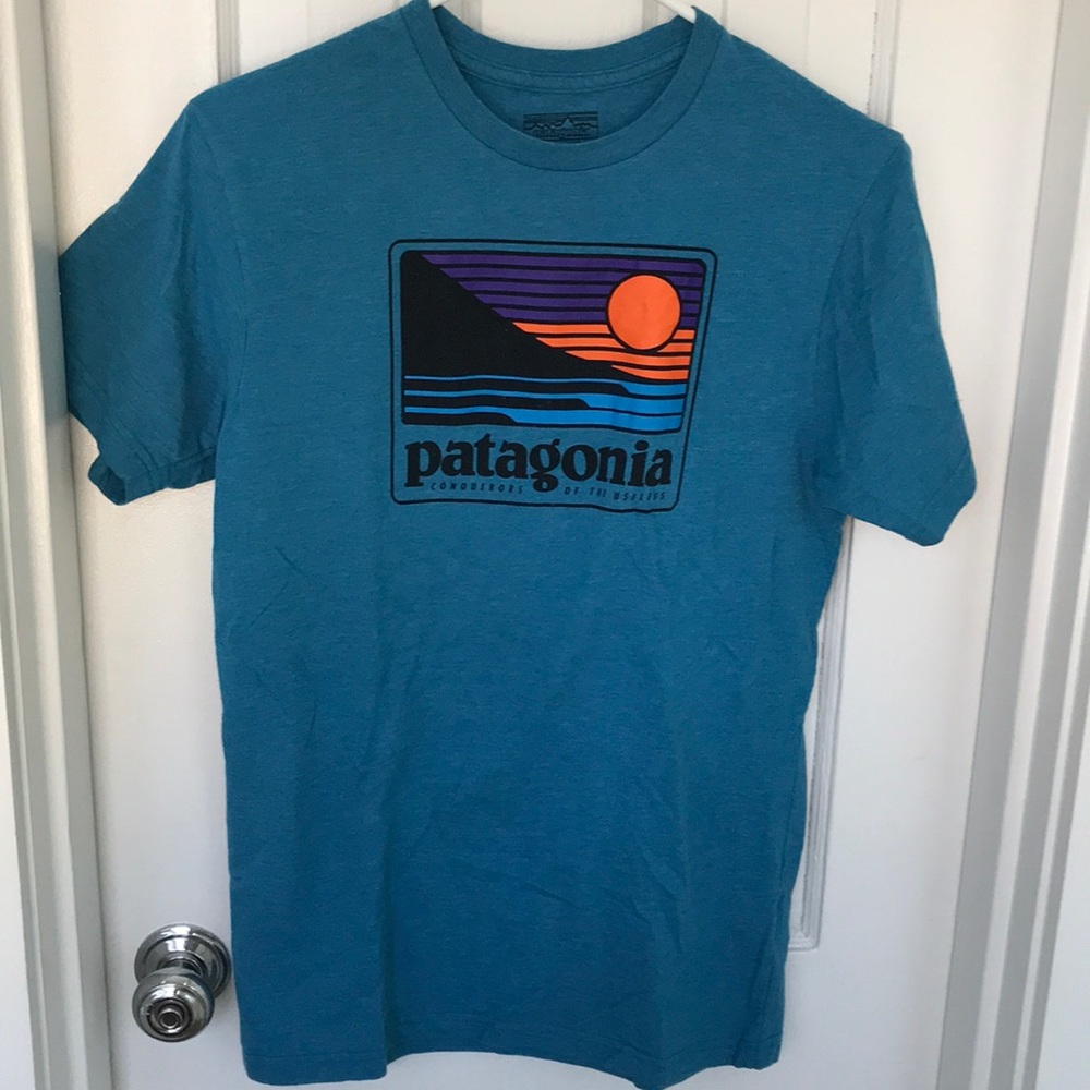 patagonia t shirt